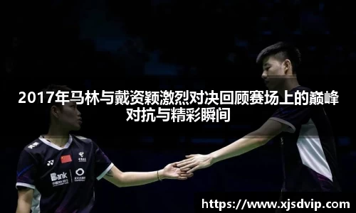 2017年马林与戴资颖激烈对决回顾赛场上的巅峰对抗与精彩瞬间