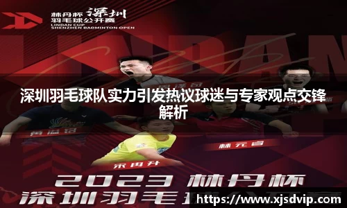 深圳羽毛球队实力引发热议球迷与专家观点交锋解析