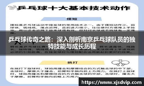 乒乓球传奇之路：深入剖析南京乒乓球队员的独特技能与成长历程