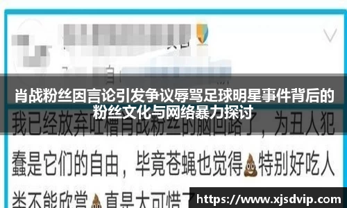 肖战粉丝因言论引发争议辱骂足球明星事件背后的粉丝文化与网络暴力探讨