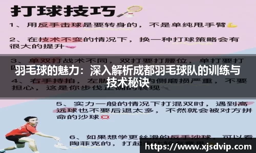 羽毛球的魅力：深入解析成都羽毛球队的训练与技术秘诀