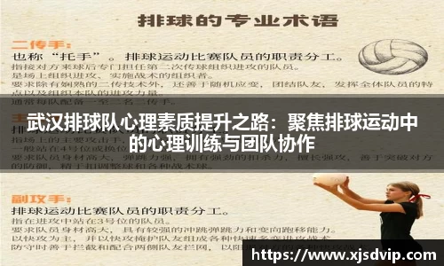 武汉排球队心理素质提升之路：聚焦排球运动中的心理训练与团队协作